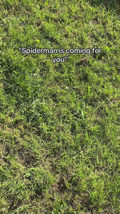 Spider-Man TikTok Video 2